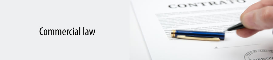 Our Salamanca Lawyers help you with civil law affairs